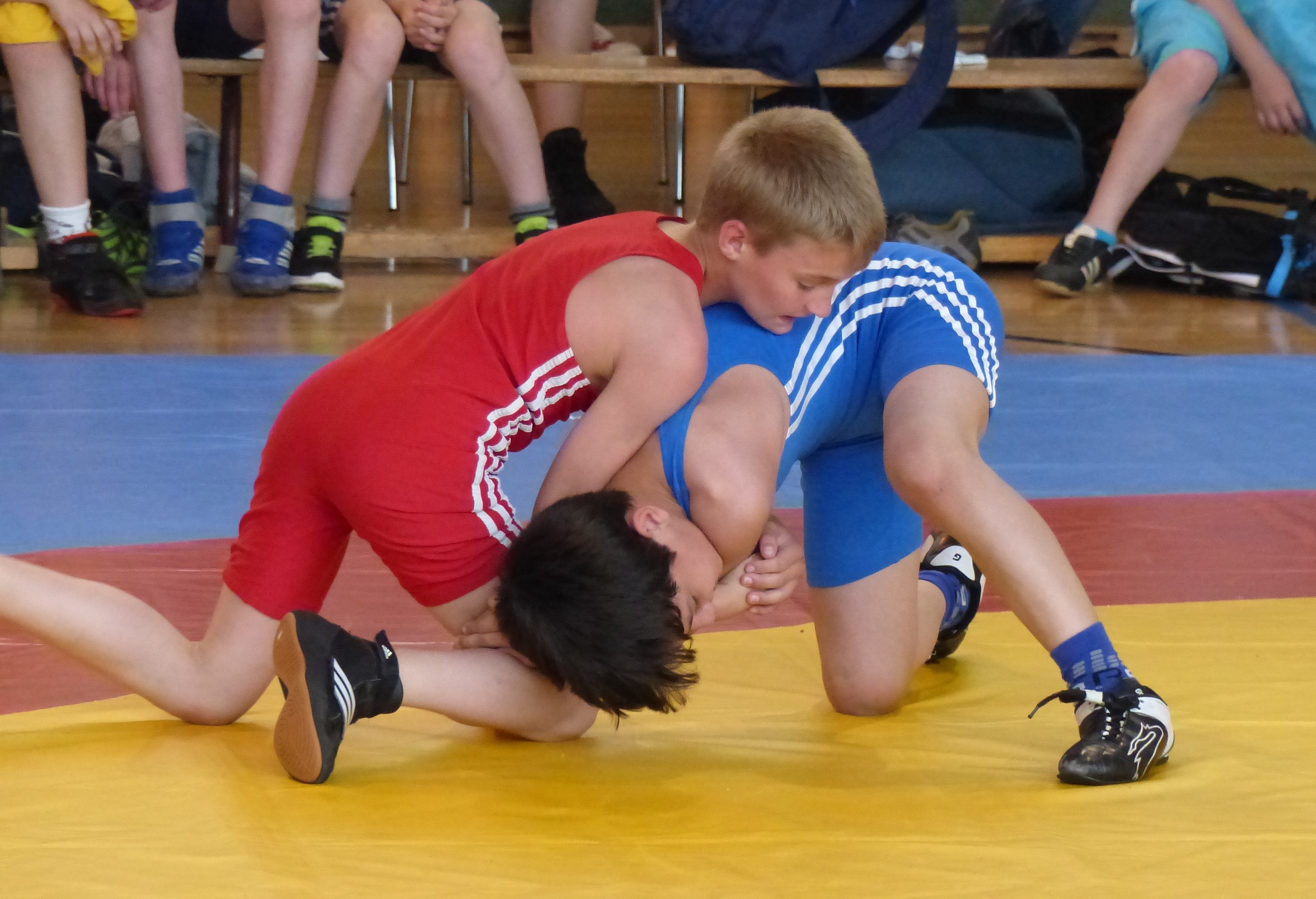 Ringerclub Chemnitz e.V. - Home